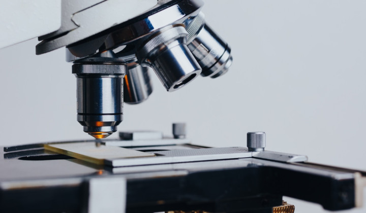 media.hotel ambasciatori 4 stelle amcli rimini